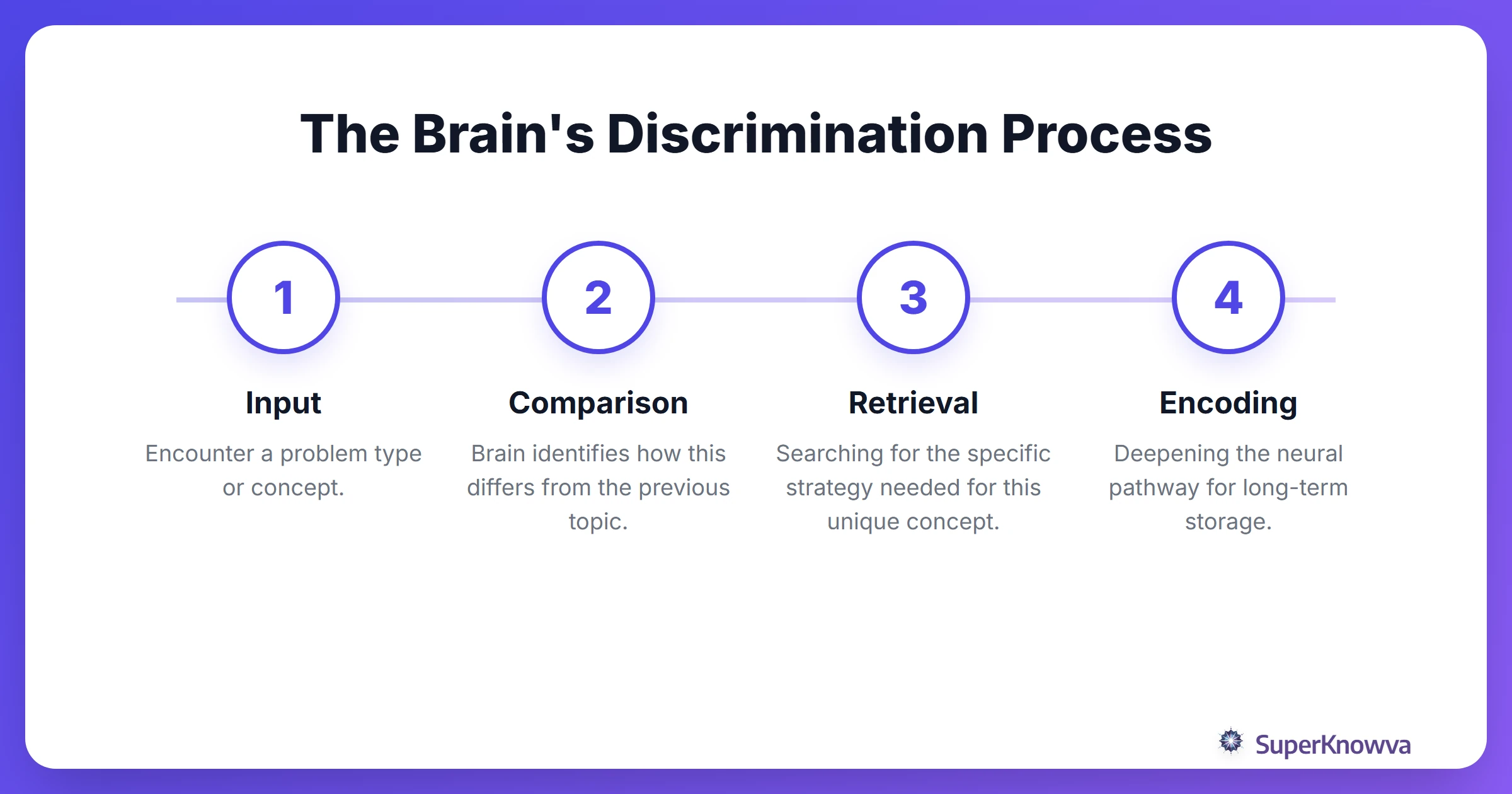 Process flow showing how the brain discriminates between concepts during interleaving.