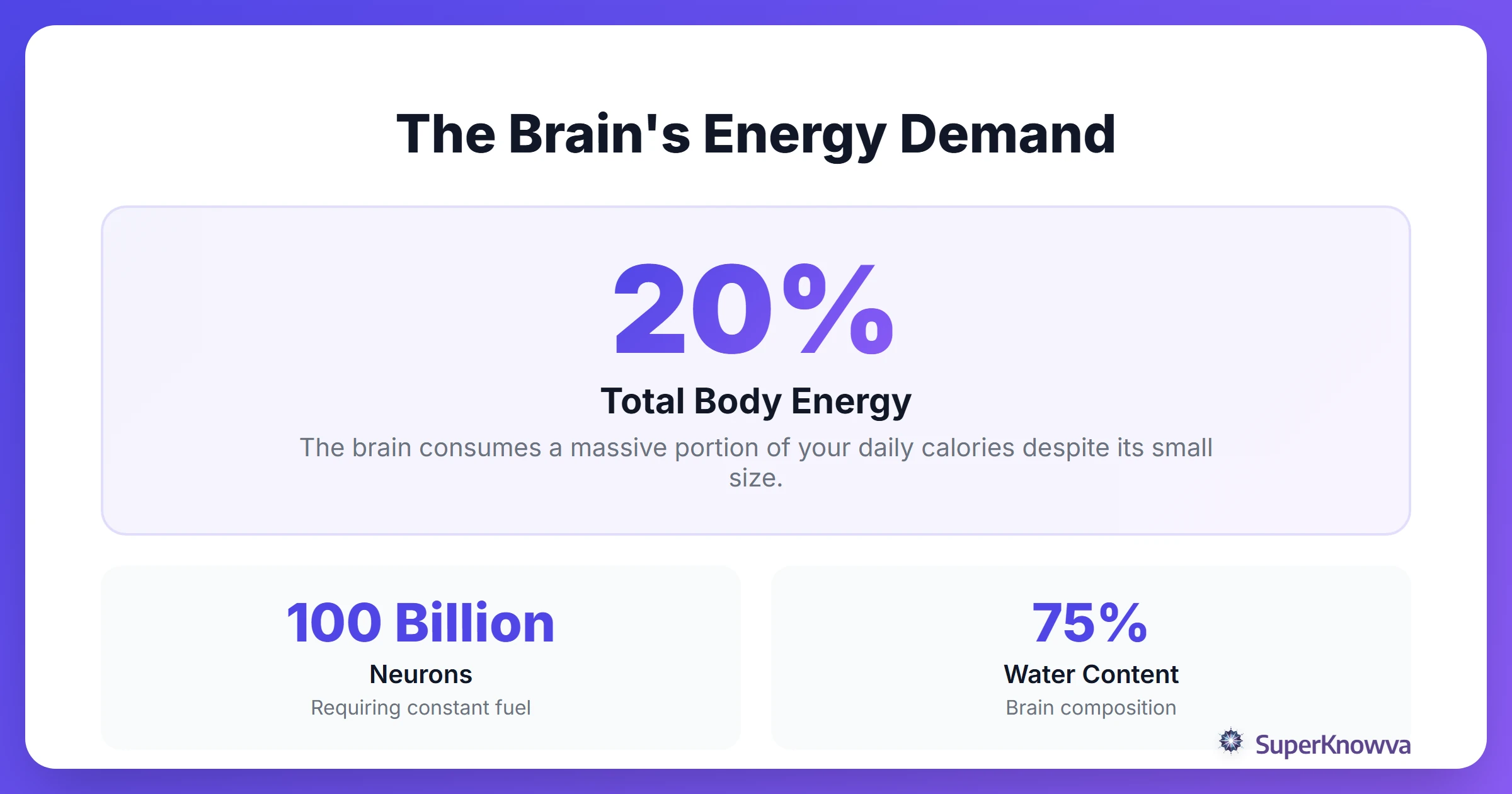 Infographic showing how much energy the brain consumes.
